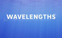 A blue screen with the word Wavelengths written in white letters