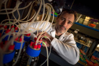 Associate Researcher Dimitri Deheyn is studying how microfibers degrade in the environment, through experiments in the ocean and in the lab. Photo by Erik Jepsen/UC San Diego Publications