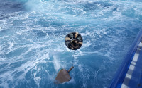 Deployment of a buoy by the Global Drifter Program