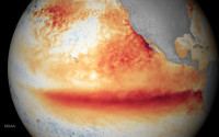 Image: Satellite sea surface temperature departure in the Pacific Ocean for the month of October 2015, where darker orange-red colors are above normal temperatures and are indicative of El Niño. 