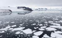 Larsen A embayment in the Antarctic Peninsula