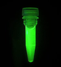 a glowing green tube