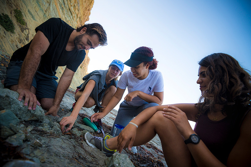 Students study specimens on the beach near Scripps Institution of Oceanography.