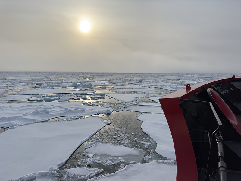 a ship navigates through sea ice