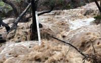 High flows in a tributary to Lake Mendocino after the February 2019 atmospheric river. Photo: CW3E