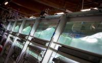 SeaSCAPE Experiment in Hydraulics Lab at Scripps Institution of Oceanography 