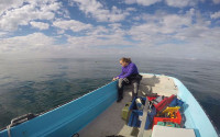 Sixth year PhD student Camille Pagniello on a boat in the middle of the ocean