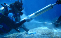 SUNY Albany researcher Sujata Murty retrieves coral core to study paleoclimate