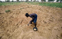 Africa's Sahel region has endured devastating droughts in the past half-century. Photo: IAEA