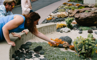 A woman leans over to touch a succulent in a garden.