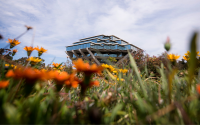 Geisel Library at UC San Diego, with orange flowers in the foreground.