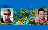 Compilation image of two researchers and a coral reef