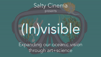 Salty Cinema (In)visible event flyer