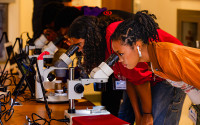 Students viewing samples through microscopes.