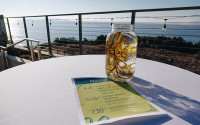 Hand-made seaweed lantern and Seaweed Speakeasy event schedule with the ocean in the background
