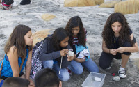 A group of middle school students at the beach
