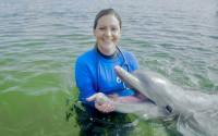 Dr. Barb Linnehan examining a Navy dolphin. Photo: U.S. Navy