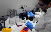 Technician runs an assay of the guanitoxin test material. Photo: Diagnostic Technology