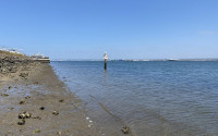 San Diego Bay on a clear day