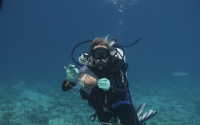 McWhorter on a fieldwork assignment during her PhD in the Chagos Archipelago diving a nearly uninhabited archipelago and collecting coral samples for calcium carbonate budgets. 