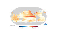 NOAA's yearly sea-surface temperature difference from average for 2015.