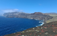 Guadelupe Island, Mexico