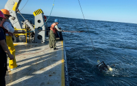 Scripps Oceanography graduate student Shannon Dolan recovers a mooring with camera component. These moorings are used by the lab of Simone Baumann-Pickering to better document and understand the impacts of ocean noise on marine mammals, especially beaked whales.