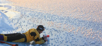Scripps' Jeff Bowman collects "frost flowers" at a site off Greenland, 2009. Photo: Matthias Wietz