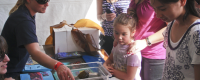 Birch Aquarium at Scripps hosted a booth at the San Diego Science Festival Expo on Saturday, March 27.
