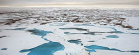 Arctic Ocean melt ponds. Photo: Karen Frey/Clark University