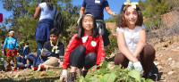March 2017 event in Manzanita Canyon drew nearly 1,000 4th graders to restore habitat. Photo: Ocean Discovery Institute