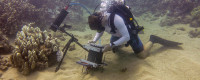 Scripps graduate student Andrew Mullen positions the Benthic Underwater Microscope to study coral competition.