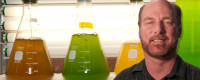 Mark Hildebrand, algal flasks