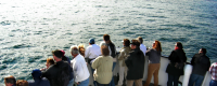 Passengers aboard a whale-watching cruise led by Birch Aquarium at Scripps naturalists.