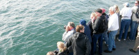 Passengers stand ready to capture a gray whale spouting on the surface. 