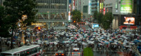 Hundreds of people carrying umbrellas cross an intersection in Japan.