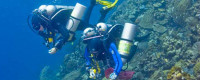 Science Expedition to Caribbean Coral Reefs, Co-Led by Scripps Scientists, Helps Launch International Year of the Reef