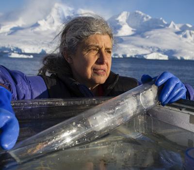 A female polar scientist