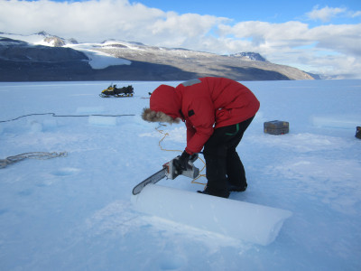 A woman wearing a red parka in an icy area cutting through a block of ice with a chainsaw