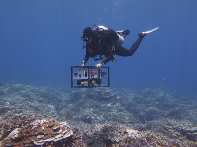 A scuba diver conducts research underwater over a coral reef