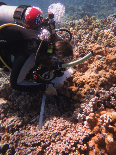 Anna Rothstein probes a reef crevice using a GoPro