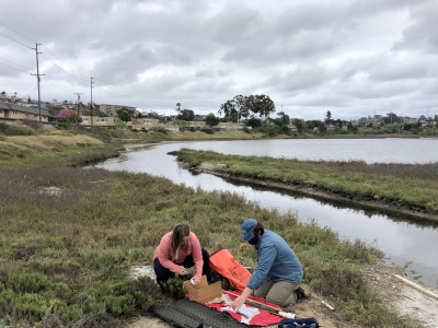 Two researchers collect sediment samples from Famosa Slough in San Diego.