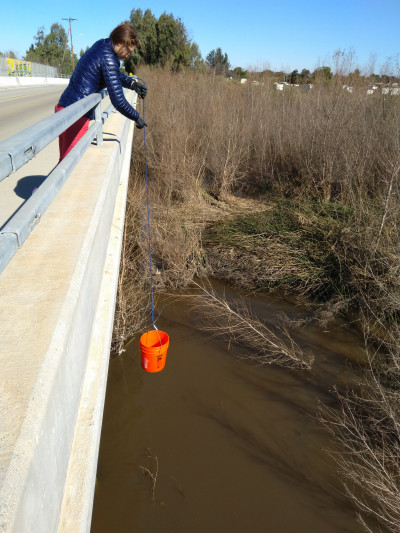 Study co-author Allegra Aron collects water from the Tijuana River for collection