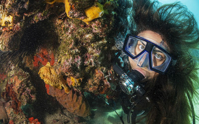 A woman diver underwater near a reef