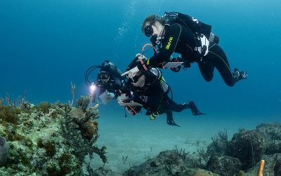 Citizen Scientists taking observations underwater