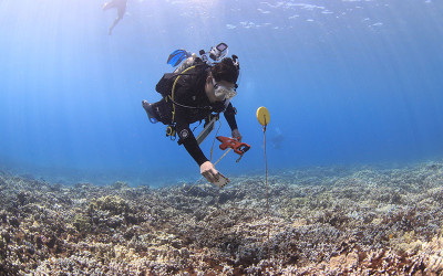 A scientific diver conducts research near a coral reef