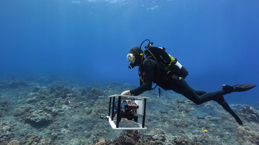 Diver carrying scanning equipment.