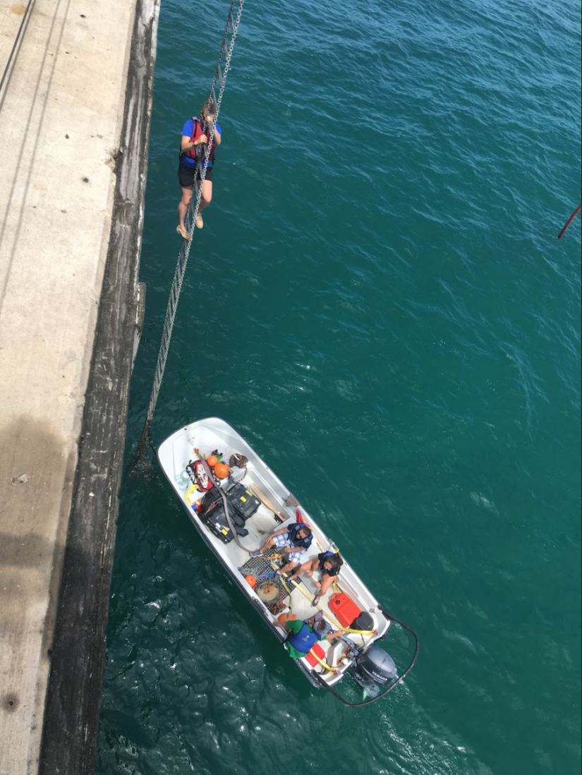 Intern climbing from the pier to a boat below