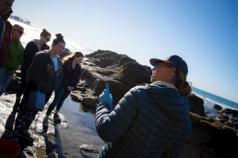 Undergraduate students exploring the tide pools near Scripps