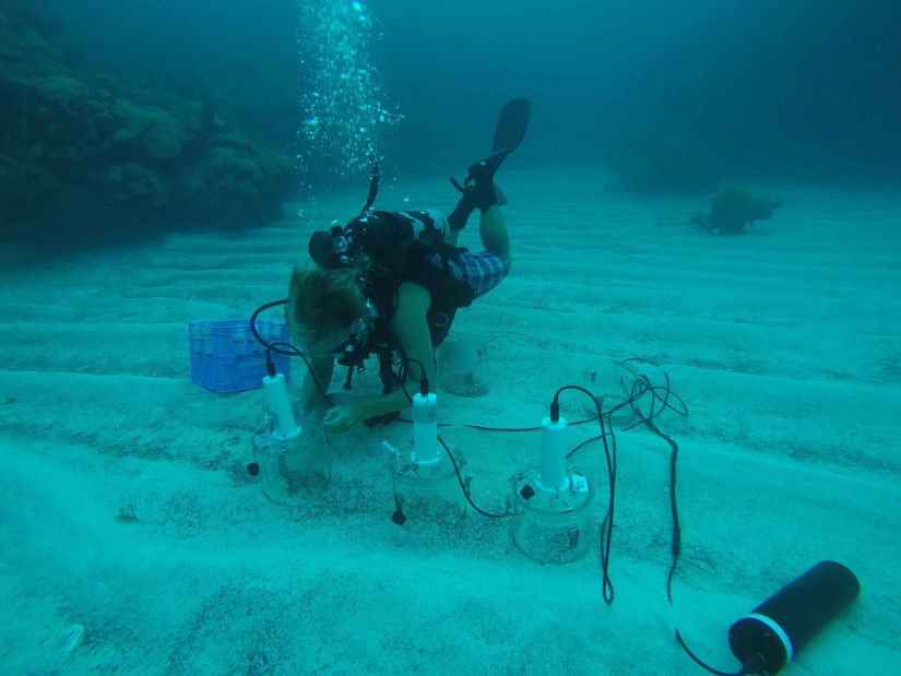 A diver places sensor technology on the seafloor